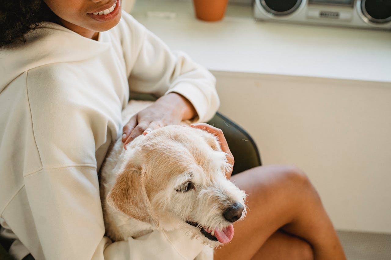 Peace of Mind for Pets: Arizona’s Guide to Pet Trusts